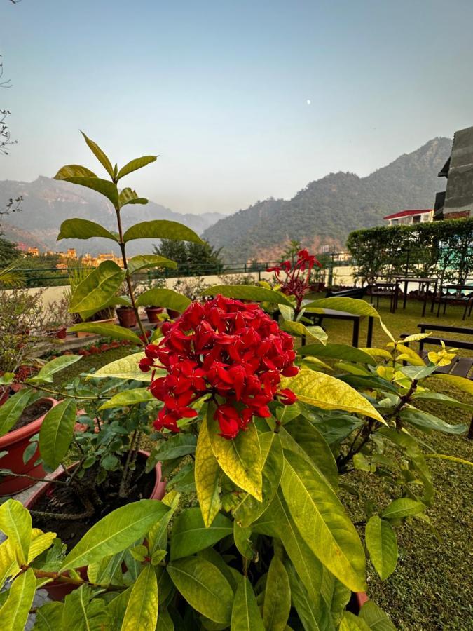 Hotel Dewa Retreat- A Himalayan Boutique Hotel Risikés Kültér fotó